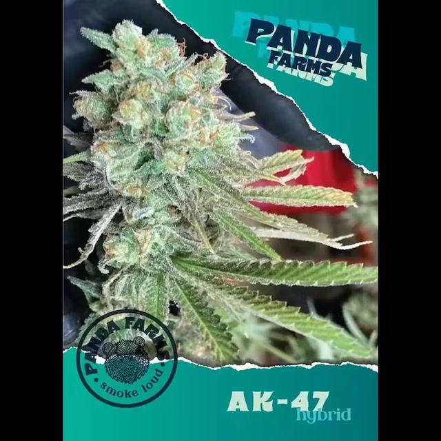 AK47 Panda Farms