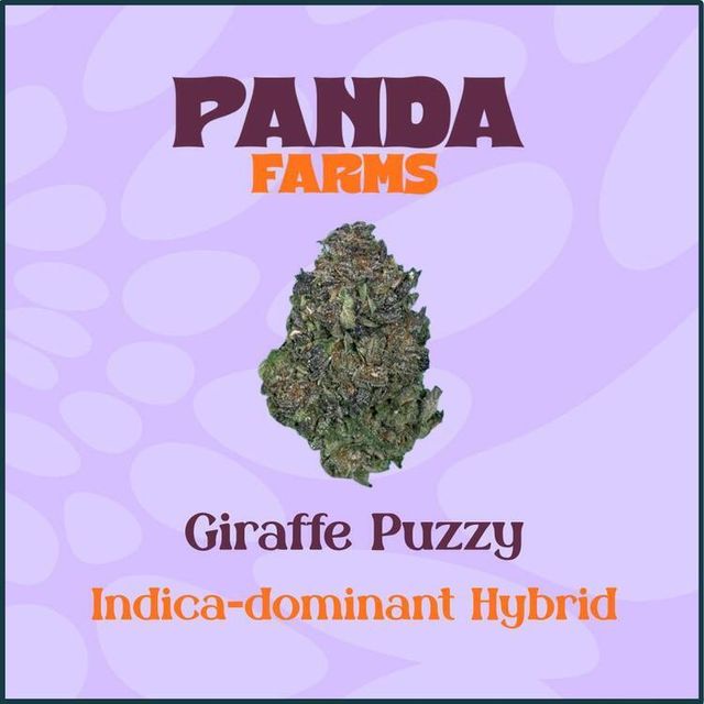 Giraffe Puzzy Panda Farms