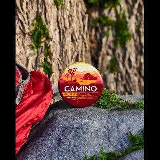 Uplifting Pineapple Habanero Camino