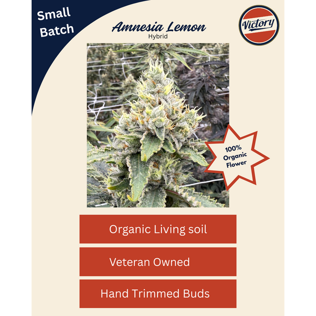 Wholes Amnesia Lemon Victory Natural Farms