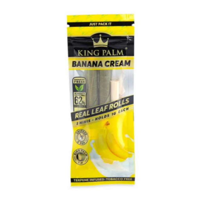 Real Leaf Cone Banana Cream King Palm
