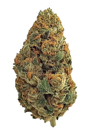 LIT OG Campfire Cannabis