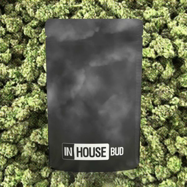 The Guice x Mint Chocolate Chip InHouse The Guice x Mint Chocolate Chip InHouse