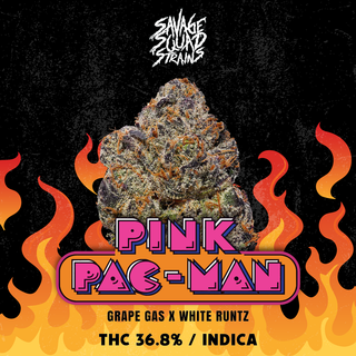 Pink Pacman Savage Squad Pink Pacman Savage Squad