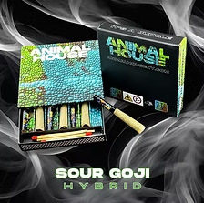 Sour Goji Animal House