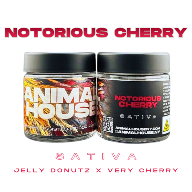 Notorious Cherry Animal House