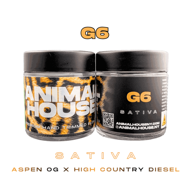 G6 Animal House