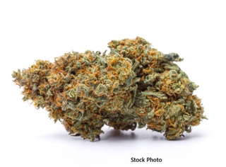 Red Dawn - Bud CCK