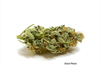 Velocity Kush Pharmacann