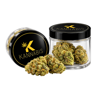 Mango Mantality Kannabis