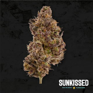 Hash Burger Sunkissed