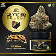 RPO Certified