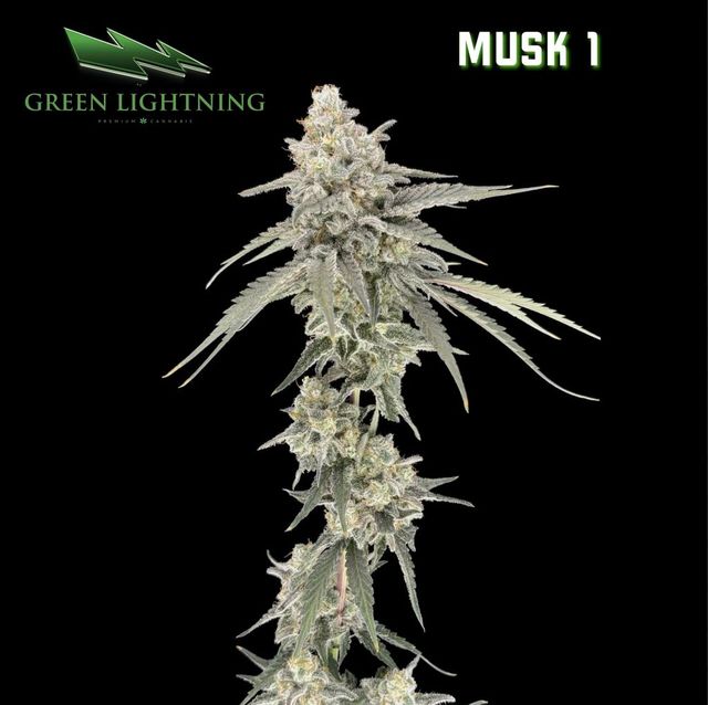 Musk 1 Green Lightning