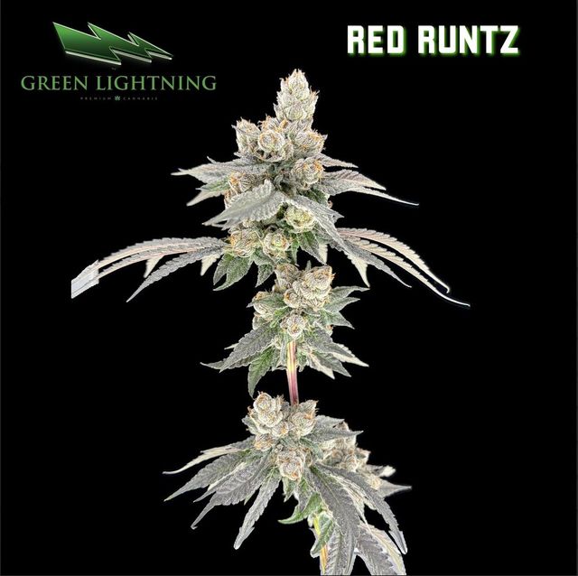 Red Runtz Green Lightning Red Runtz Green Lightning