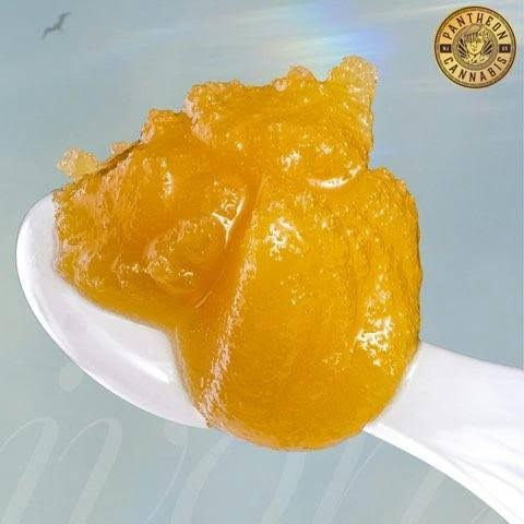 Orange Tangie Ivory Orange Tangie Ivory
