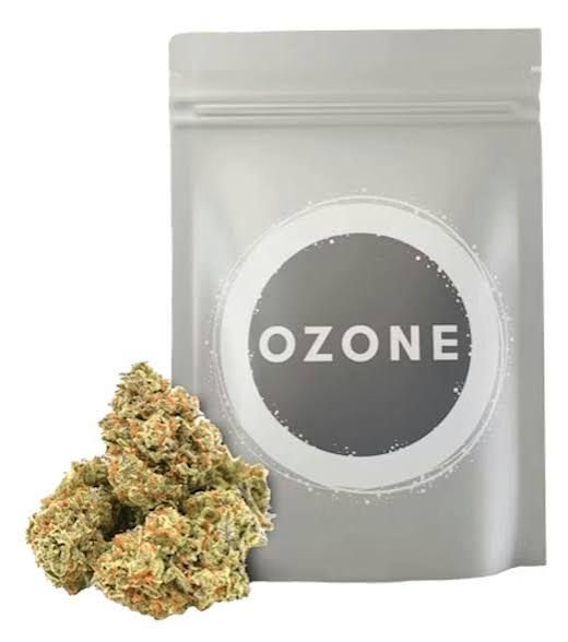 Cheddar Cheeze Ozone Cheddar Cheeze Ozone