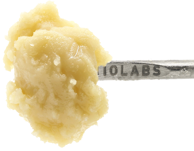 Donny Burger 710 LABS