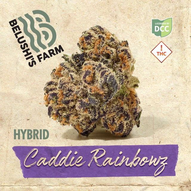 Caddie Rainbowz Belushi Farms