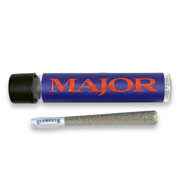 Purple Thai Major