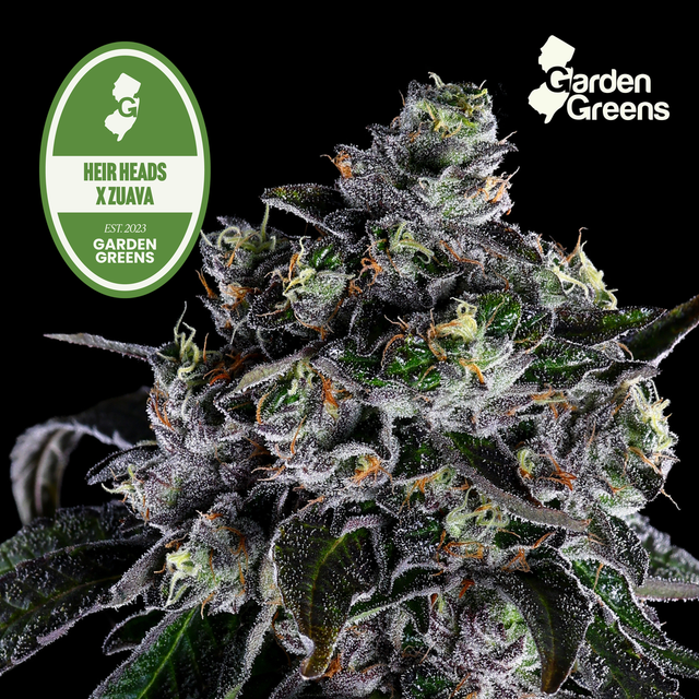 Heir Heads x Zuava Garden Greens