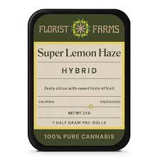 Super Lemon Haze Florist Farms