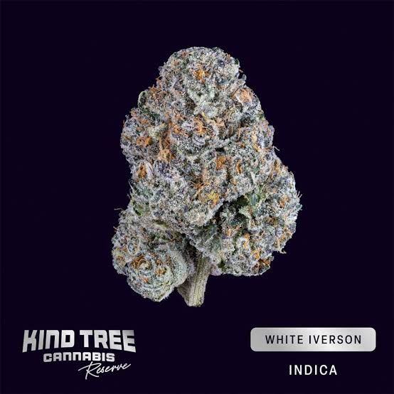 Reserve Buds | White Iverson Kind Tree