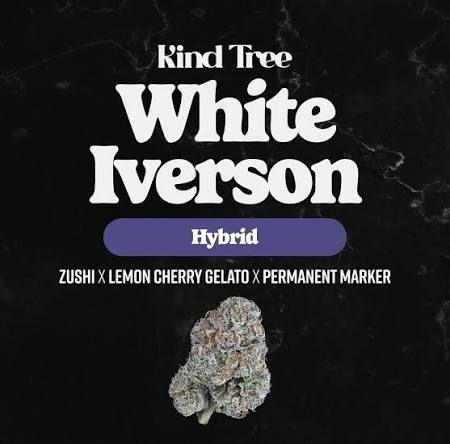 Reserve Buds | White Iverson Kind Tree Reserve Buds | White Iverson Kind Tree