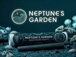 Nightmare Runtz Neptune's Garden Nightmare Runtz Neptune's Garden