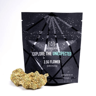 Ghost Train Haze Anthologie