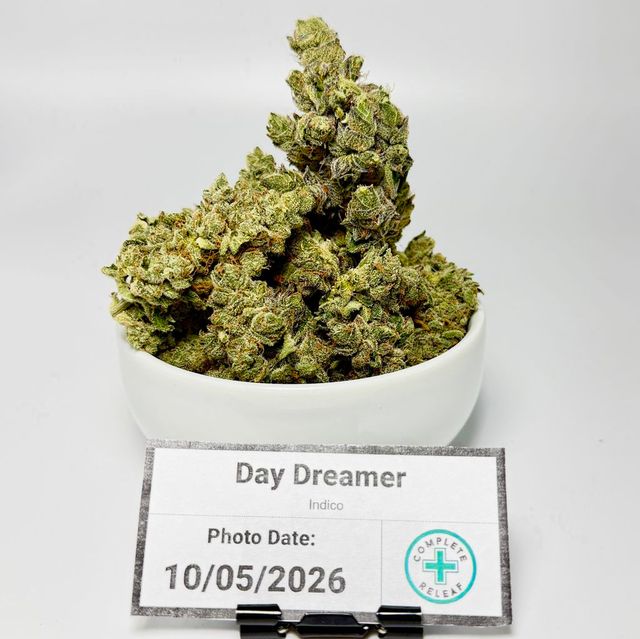 Day Dreamer - Buds Indico Day Dreamer - Buds Indico