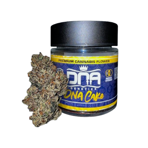 DNA Cake DNA Genetics