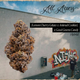 (Lemon Cherry Gelato x Animal Cookies) x Good Greens Candy All Access by Niche (Lemon Cherry Gelato x Animal Cookies) x Good Greens Candy All Access by Niche