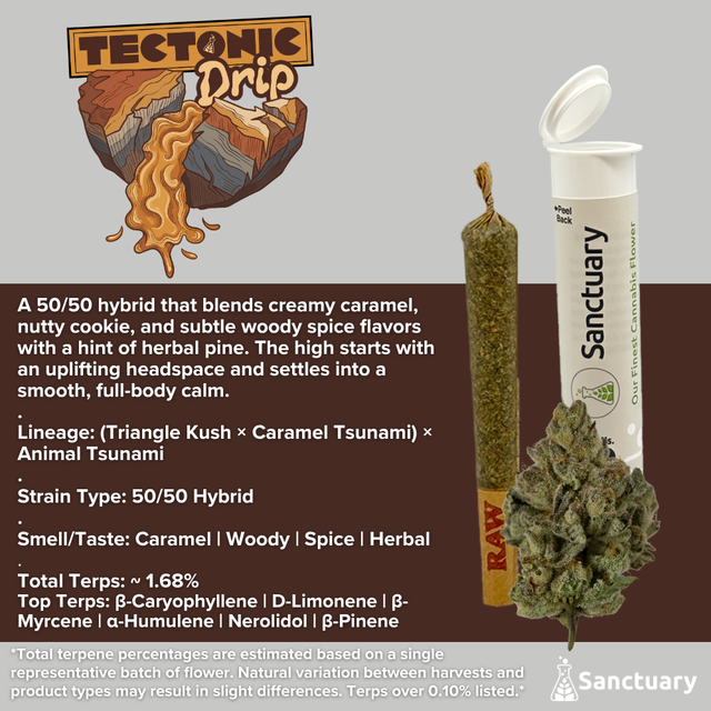 Tectonic Drip Sanctuary