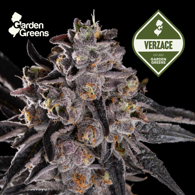 VerZace Garden Greens