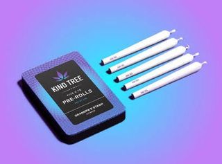 White Iverson | Joints | 1.75g | 5pk Kind Tree