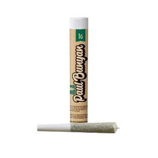 Morning Star 1g Preroll Paul Bunyan Morning Star 1g Preroll Paul Bunyan