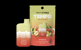 Fuji Apple Pear Blends AIO TEMPO