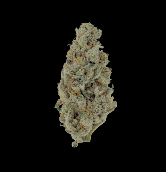 CAP JUNKY - (h) NEZ