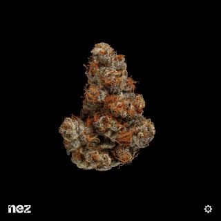 SWAMPWATER FUMEZ - (h) NEZ