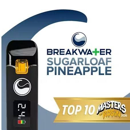 Sugarloaf Pineapple | Rosin Breakwater