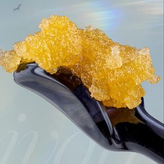 Velvet Smoke Live Resin Ivory
