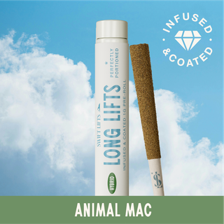Infused & Kief Coated Brain Fog Swift Lifts Infused & Kief Coated Brain Fog Swift Lifts