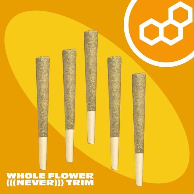Banana Breeze Theraplant