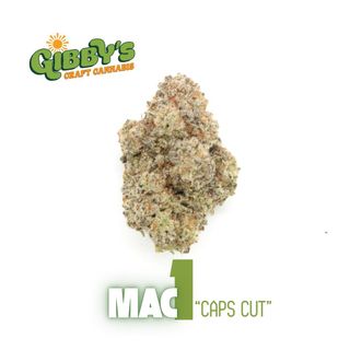 MAC 1 Gibby's Garden