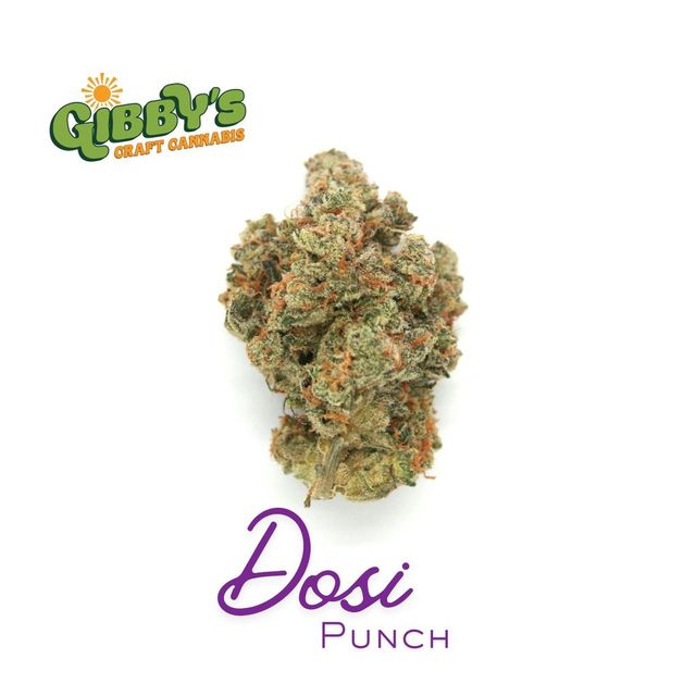 Dosi Punch Gibby's Garden Dosi Punch Gibby's Garden
