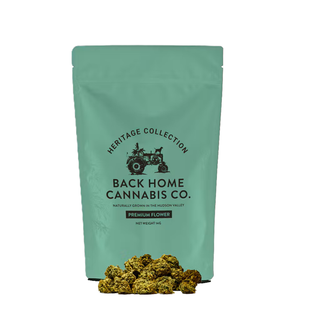 Back Home Jack Herer Back Home Cannabis