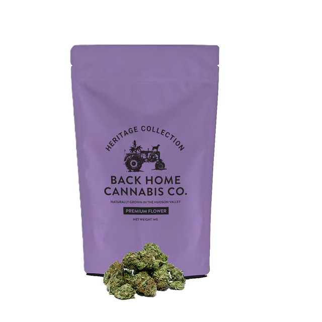 Back Home Northern Lights Back Home Cannabis