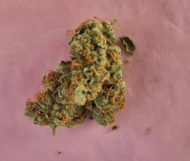 STRAWBERRY GUAVA - (h) NEZ