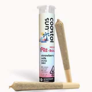 Strawberry Milk Greenhouse 2 pack Coastal Sun