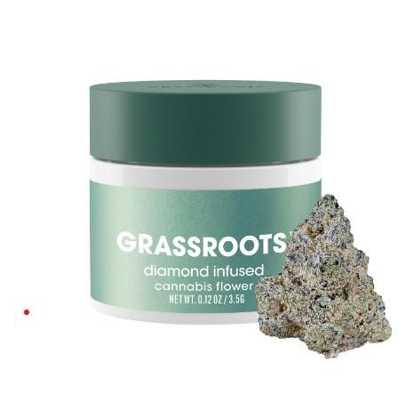 JORDANZ - (h) GRASSROOTS